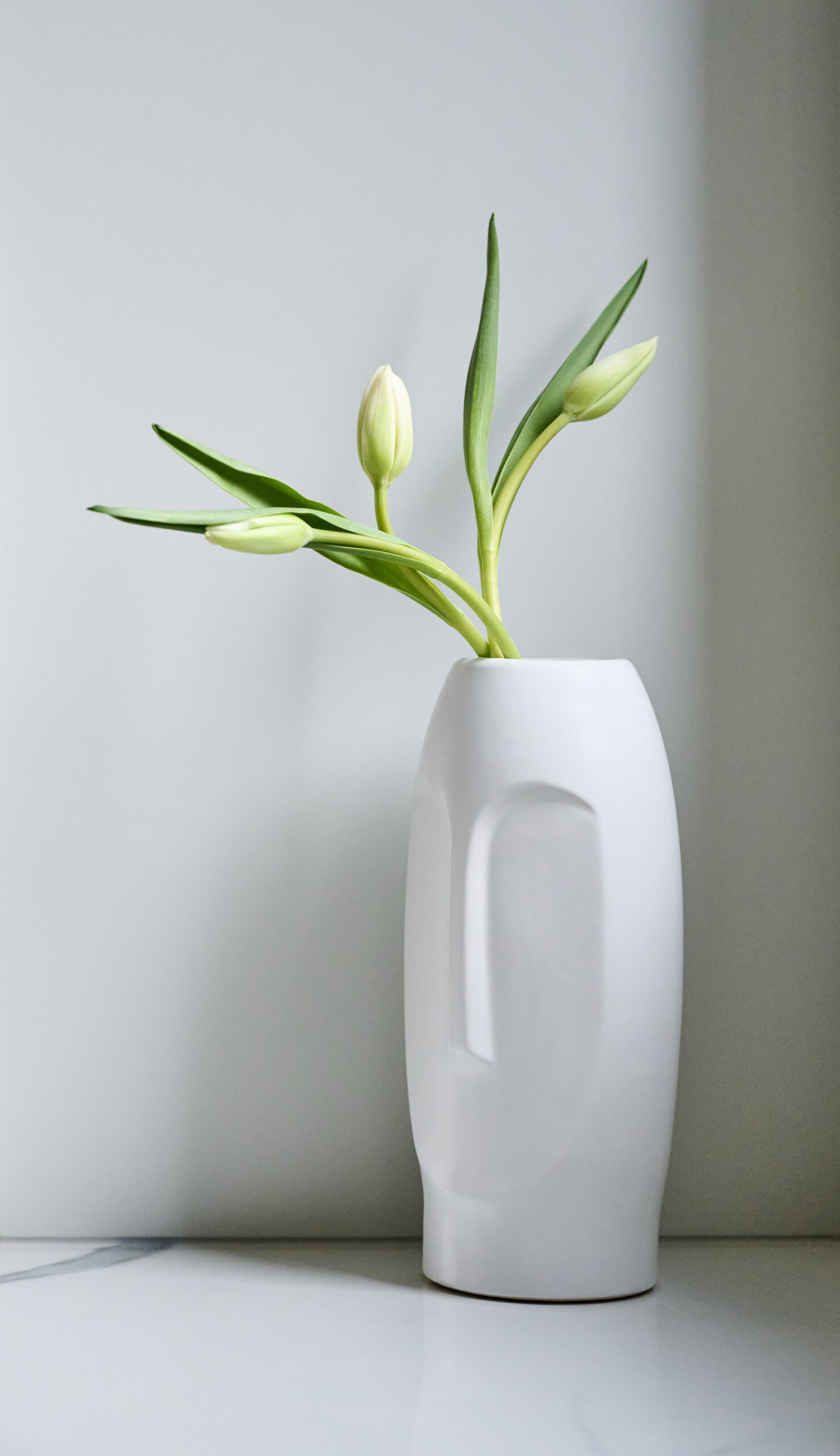 Vase with tulip