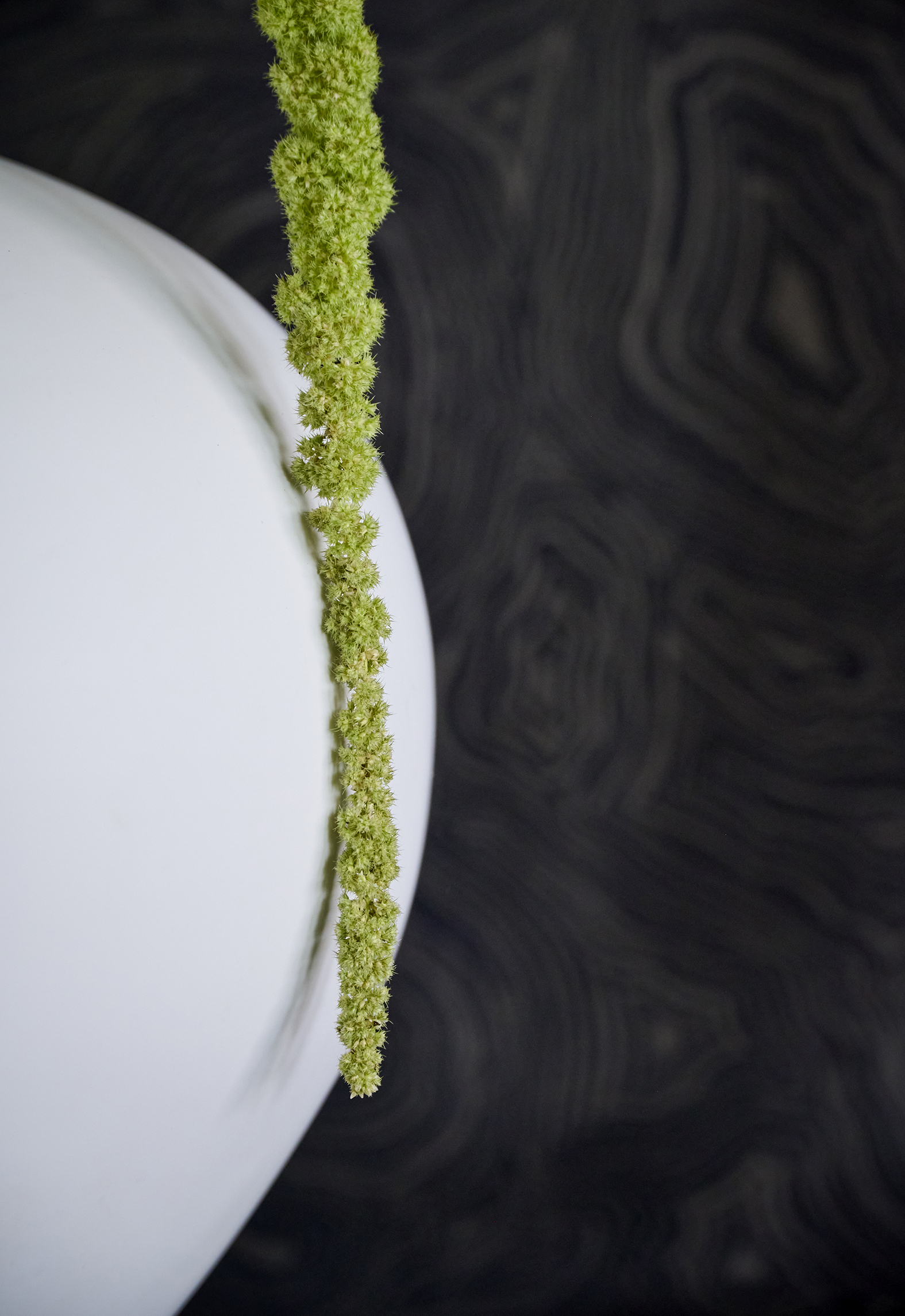 Vase details